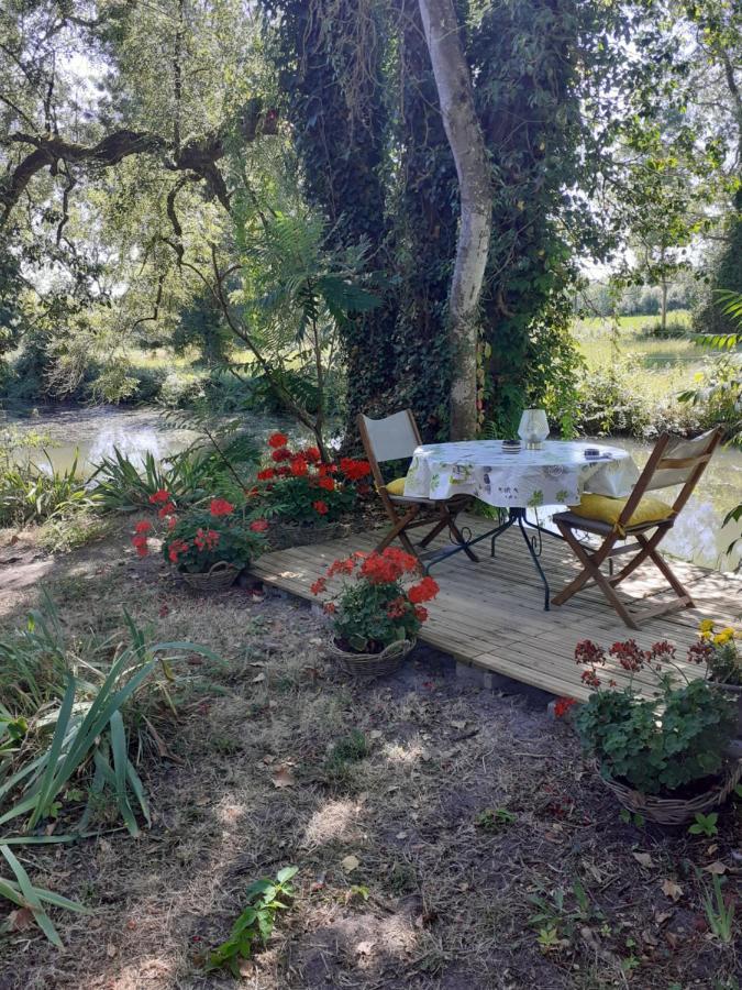 Gite " Jardin Peyrona" Visite Zoo Beauval Et Chateaux De Loire Beaulieu-lès-Loches Dış mekan fotoğraf