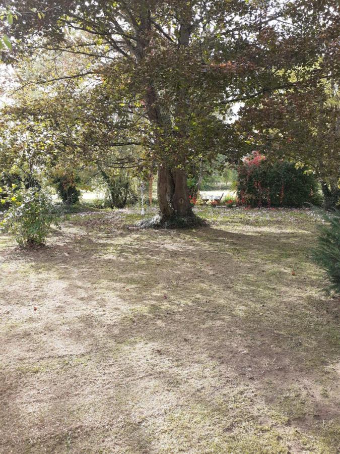 Gite " Jardin Peyrona" Visite Zoo Beauval Et Chateaux De Loire Beaulieu-lès-Loches Dış mekan fotoğraf