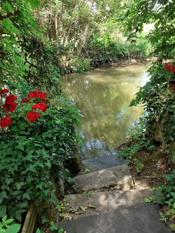 Gite " Jardin Peyrona" Visite Zoo Beauval Et Chateaux De Loire Beaulieu-lès-Loches Dış mekan fotoğraf