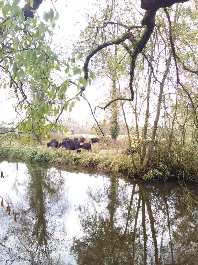 Gite " Jardin Peyrona" Visite Zoo Beauval Et Chateaux De Loire Beaulieu-lès-Loches Dış mekan fotoğraf
