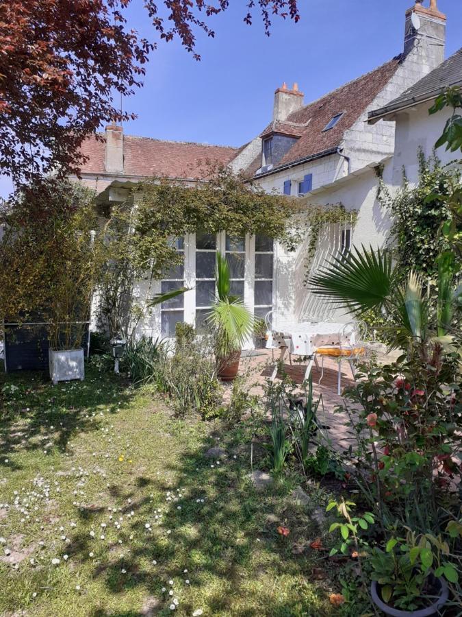 Gite " Jardin Peyrona" Visite Zoo Beauval Et Chateaux De Loire Beaulieu-lès-Loches Dış mekan fotoğraf