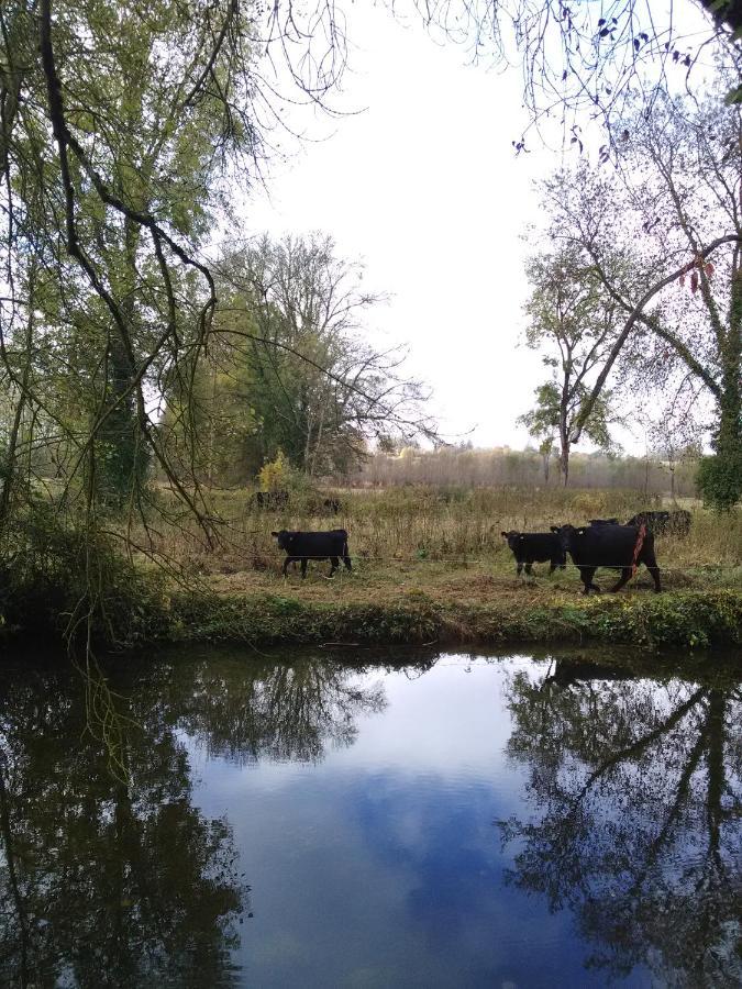 Gite " Jardin Peyrona" Visite Zoo Beauval Et Chateaux De Loire Beaulieu-lès-Loches Dış mekan fotoğraf